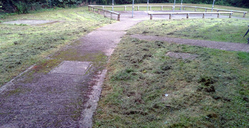 Standard D: Grass has clearly not been attended to for some time e.g. growth of grass onto footpaths, evidence of bonfire and length of grass.