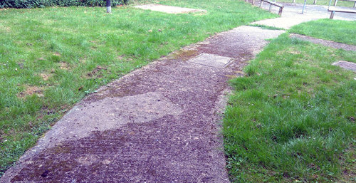 Standard C: There is evidence of weeds and moss that have been sprayed but have not been removed or not sprayed for a long period.