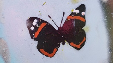 Malvern Close spray-painted Red Admiral butterfly sign