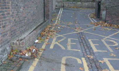 Paths and roadways have a high build up of litter and leaves.