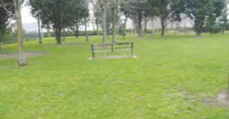 Standard A: The grass has been recently cut and shrubs are clearly well maintained. The area is completely free of weeds; they have been killed and dead weeds removed.