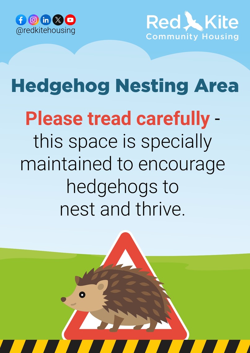 Red Kite's hedgehog awareness poster.