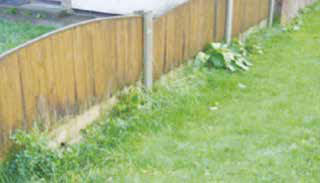 Standard D: There is evidence of weeds that appear to have never been attended to.