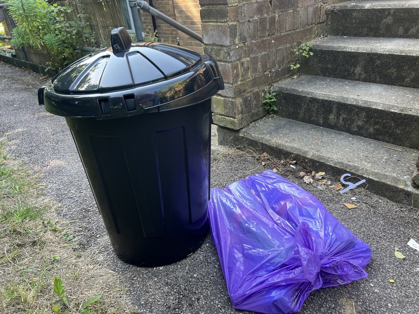 New Bin And Bin Bags