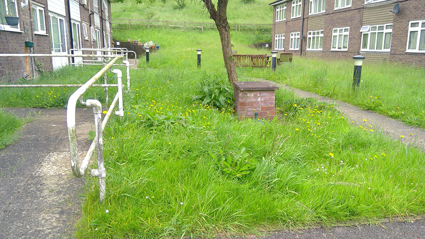 Standard C: Grass areas are overgrown, in a poor condition and need to be cut back or trimmed.