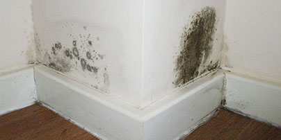Mould on an interior wall [Photo: Amanda Slater - used under CC BY-SA 2.0]
