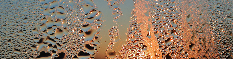 Condensation on a window