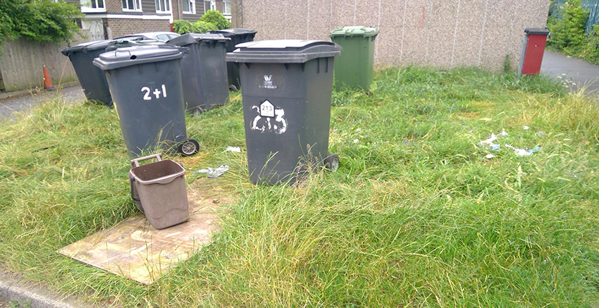 Standard D: Grass has clearly not been attended to for some time e.g. growth of grass onto footpaths, evidence of bonfire and length of grass.