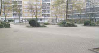 Standard A: Shrub beds and hedges are well maintained, cut back and attractive to the eye.