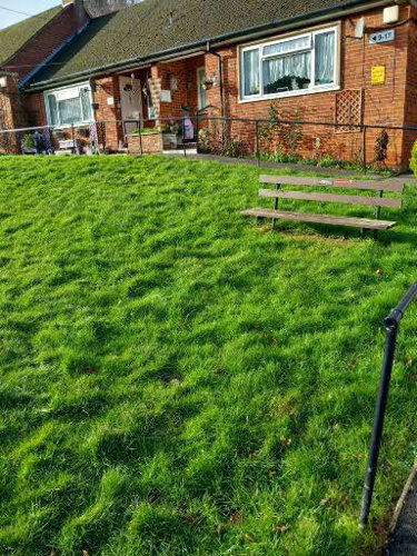 Standard C: Grass areas are overgrown, in a poor condition and need to be cut back or trimmed.