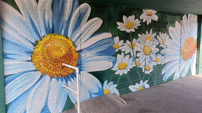A mural depicting daisies on one side of the Mahoney Court undercroft