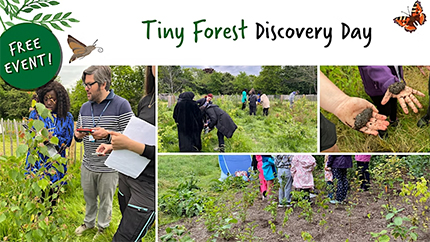 Tiny Forest Discovery Day