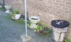 Standard B: The area is generally free of weeds. Any remaining weeds will be dealt with by seasonal maintenance.