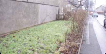 Standard C: Grass areas are overgrown, in a poor condition and need to be cut back or trimmed.