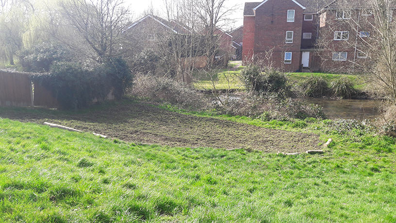 A tidy grassy area at Five Acres, with houses in the background