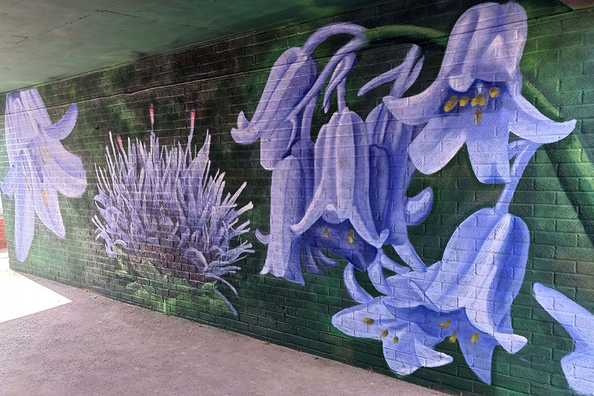 A mural depicting scabious and bluebell flowers on one side of the Mahoney Court undercroft