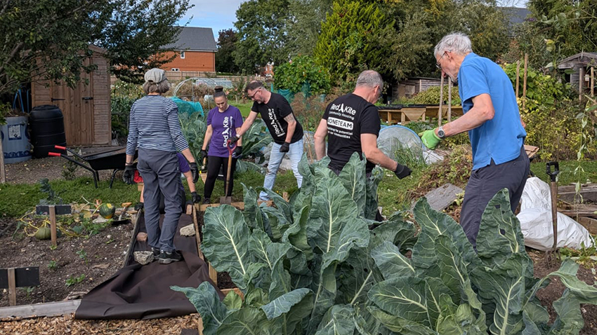 Members of Red Kite's Executive and Senior Leadership Teams working with other volunteers at the Grow Together community allotments in Loudwater, High Wycombe