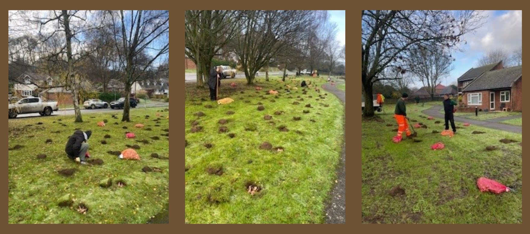 Volunteers Planting Bulbs (2)