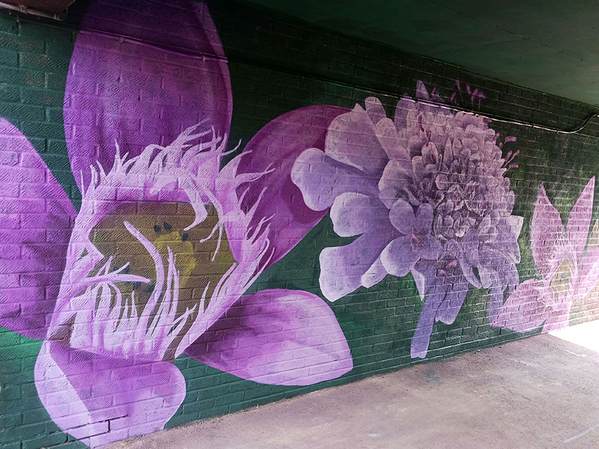 A mural depicting scabious and clematis flowers on one side of the Mahoney Court undercroft