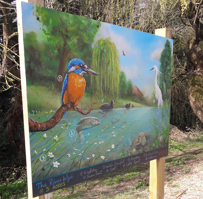 Painted Artwork of bird at Five Acres