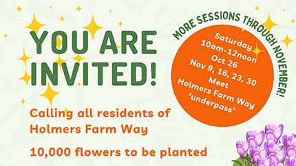 Holmers Farm Way bulb planting sessions, October & November 2024